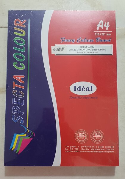 Papier bristol blanc 250GSM