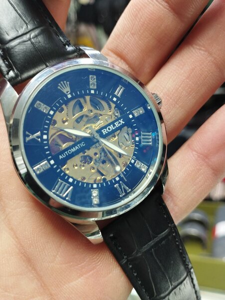 Ролех механика