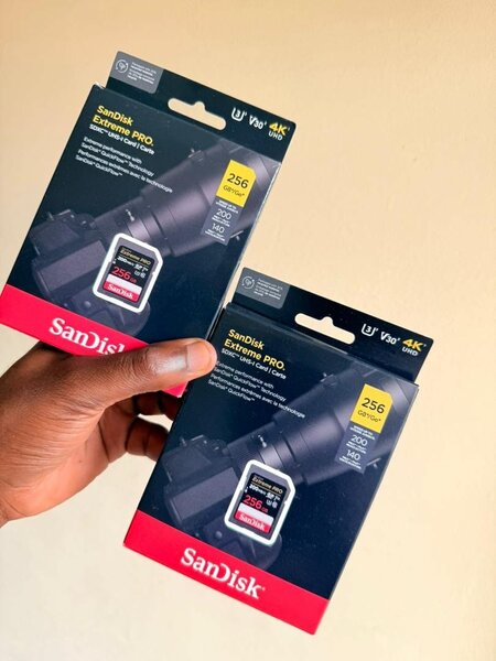 Carte mémoire SanDisk Extreme Pro 256 Go