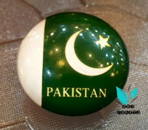 Fridge Magnets . Pakistani Monuments . set of 2 souvenirs .Handmade
