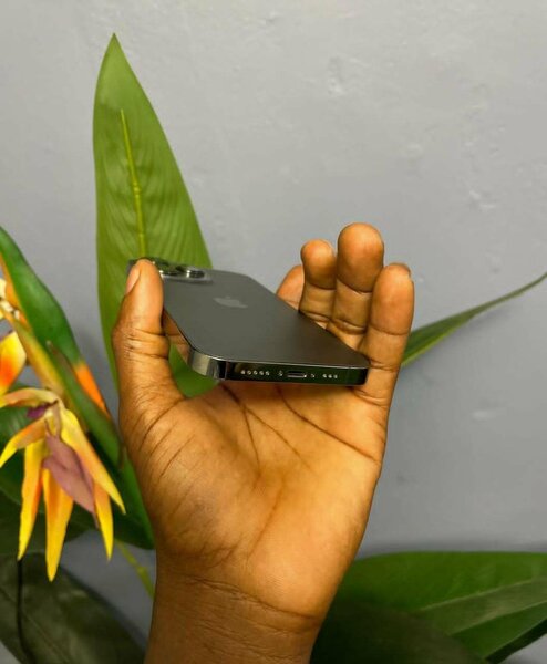 iPhone 13 Pro 256GB Factory Unlocked