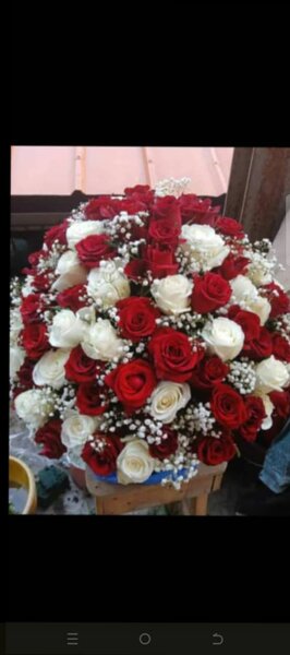 Bouquet de roses élégantes