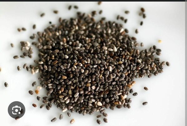 Graines de Chia Bio 100g