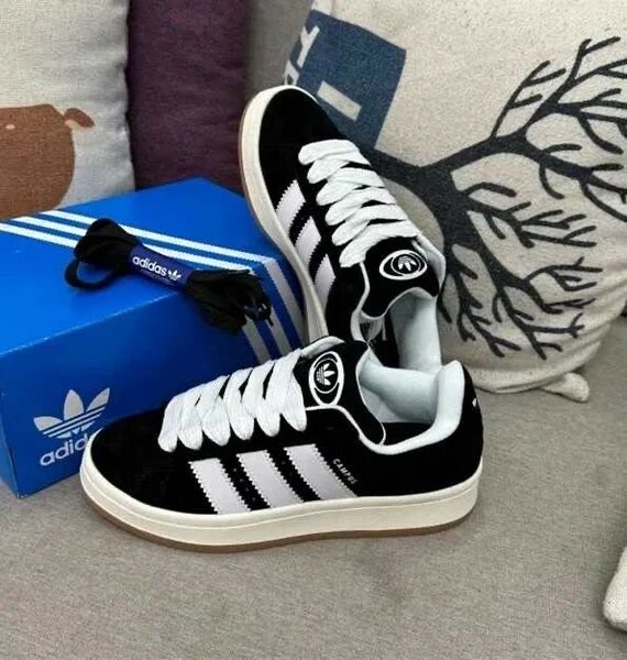Chaussure Adidas Campus
