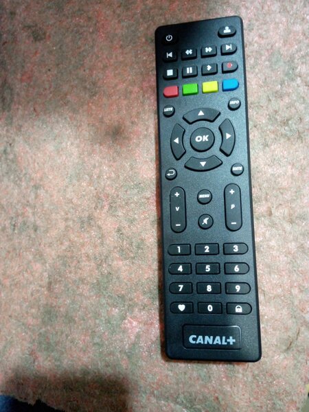 Canal + avec le foureu