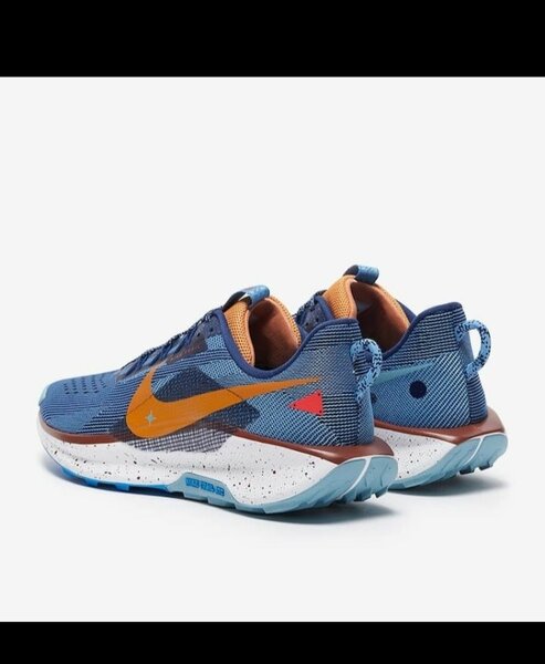 Baskets Nike Trail Running