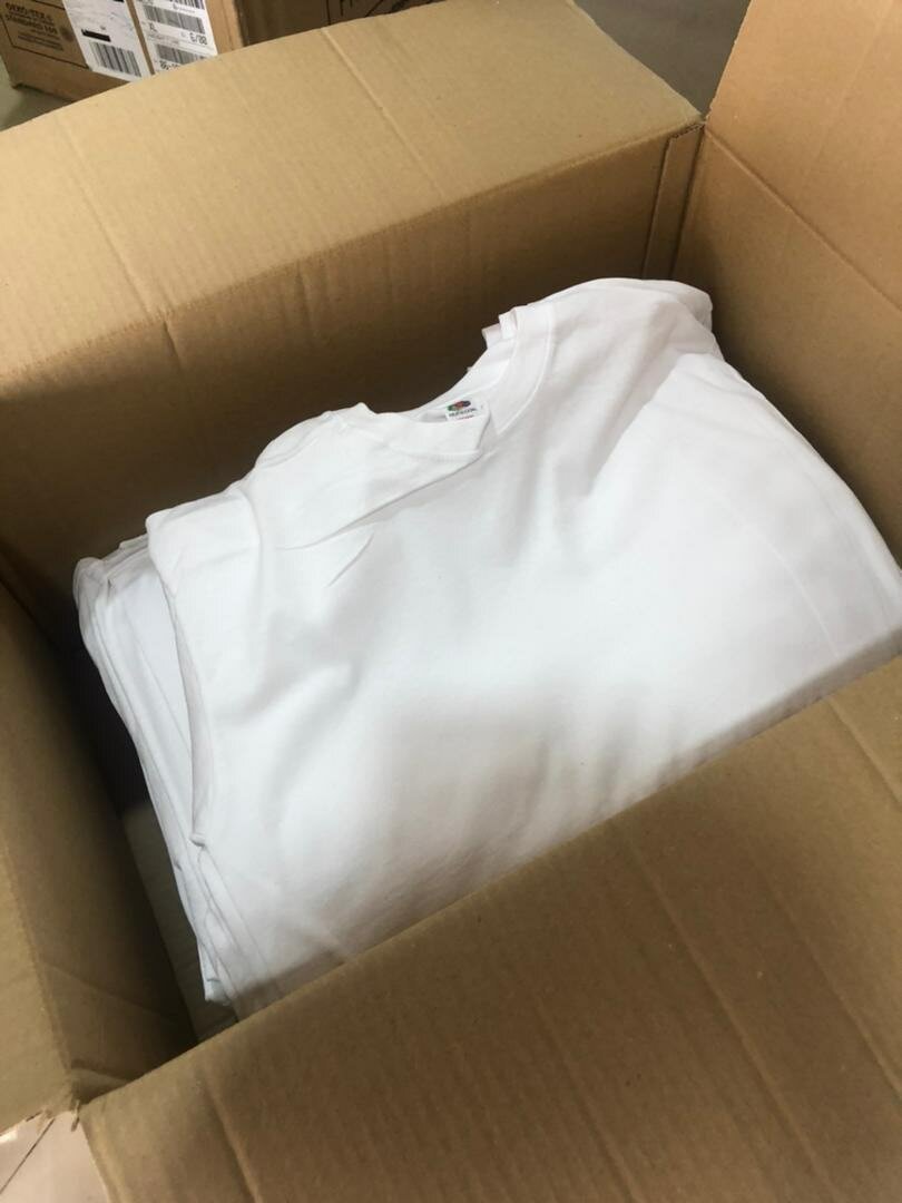 Fruit of the loom plain tshirts