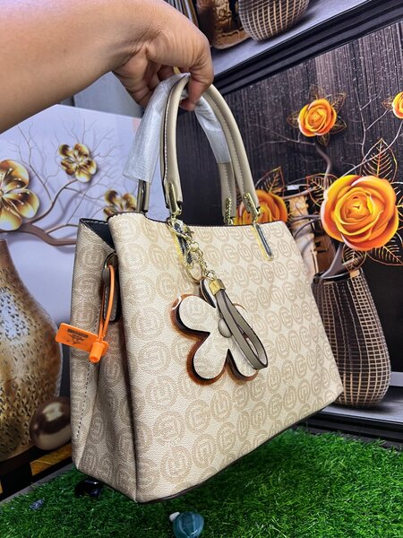 Ladies hand bag