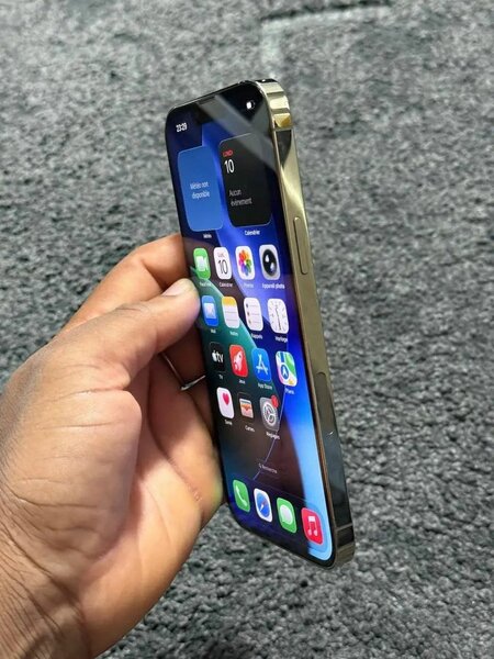 Iphone 13 pro max 256 Go Pro