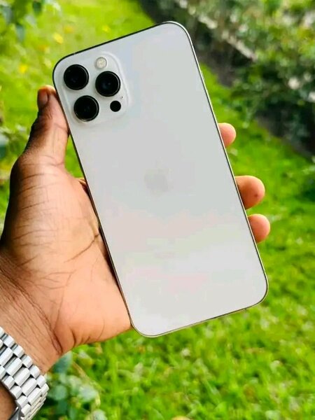 iPhone 13 Pro Max Argent