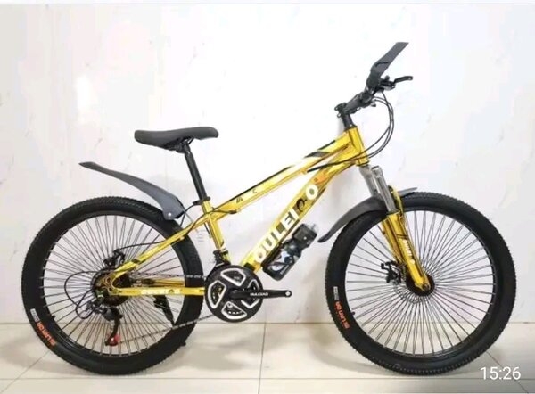 Vélo tout-terrain robuste