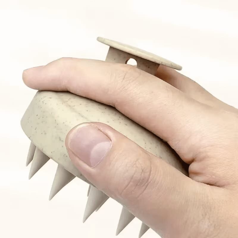 Brosse de Massage pour Cheveux