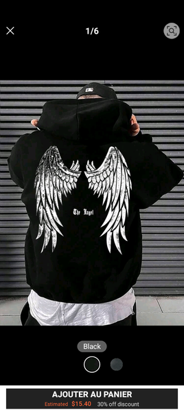 Pulls à capuche ailes