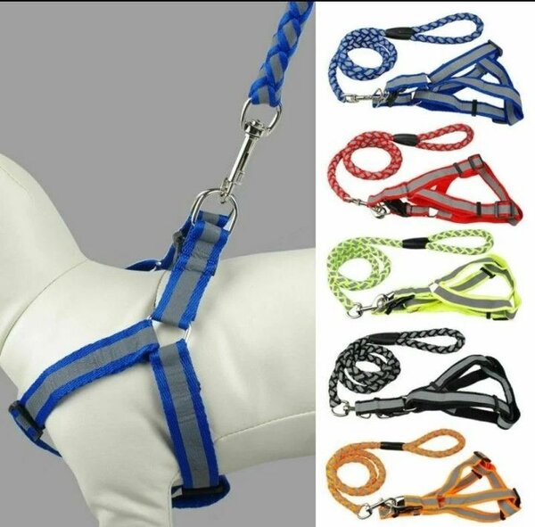 Harnais et laisse pour chien