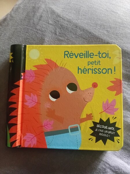 Livre Réveille-toi Petit Hérisson