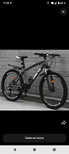 Vélo tout-terrain robuste