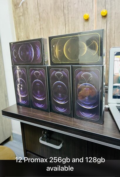 iPhone 12 Pro Max 256 gig