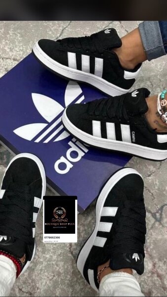 Basket adidas campus authentique avec sa boîte