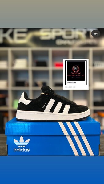 Basket adidas campus authentique avec sa boîte