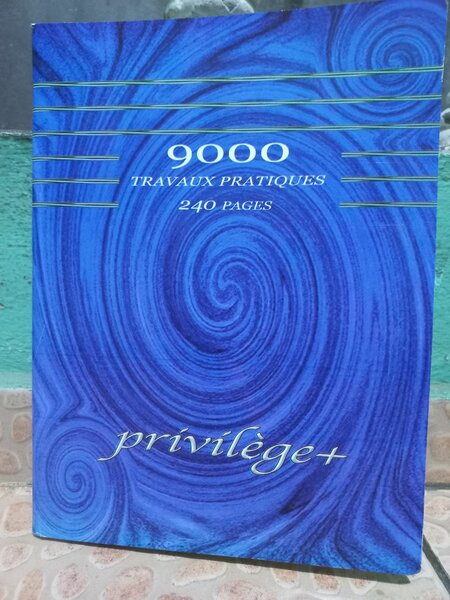 Cahier de Travaux Pratiques 240p