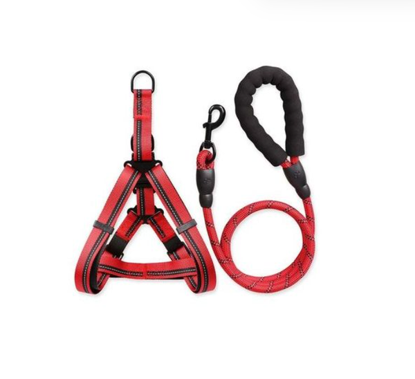 Laisse Chien De Traction