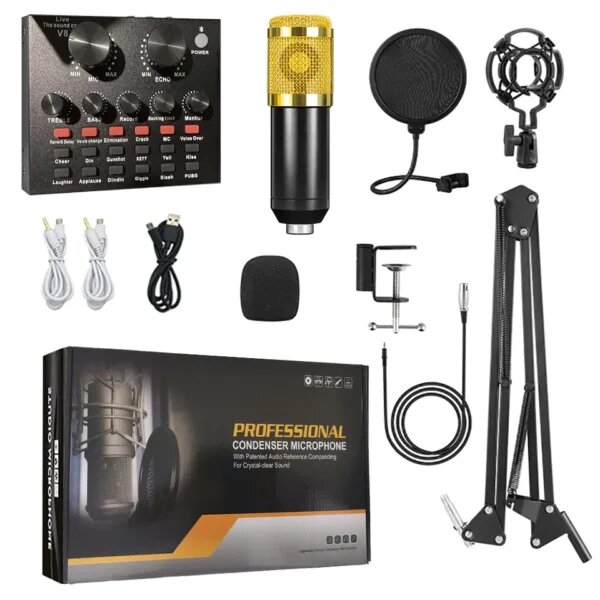 BM 800 Condenser Microphone Kit