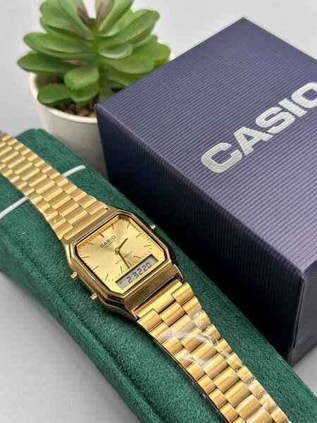 CASIO