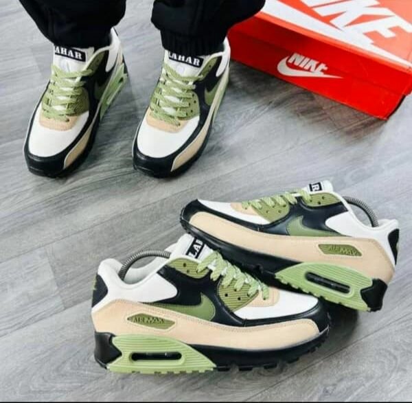 Baskets Air Max classiques