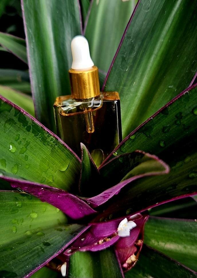 Huile de parfum SHAGAF OUD S.A