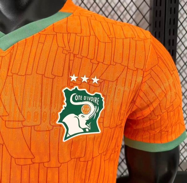 Maillot Côte d'Ivoire Puma