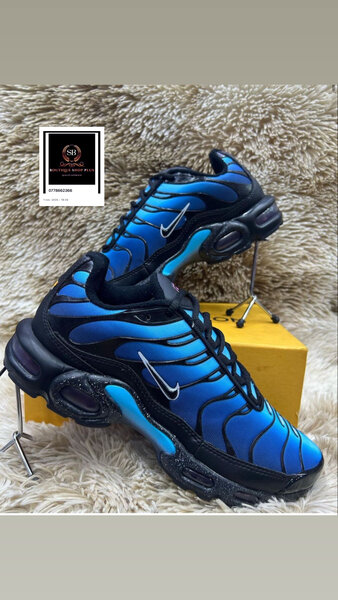 Baskets Nike Air Max Plus Bleu