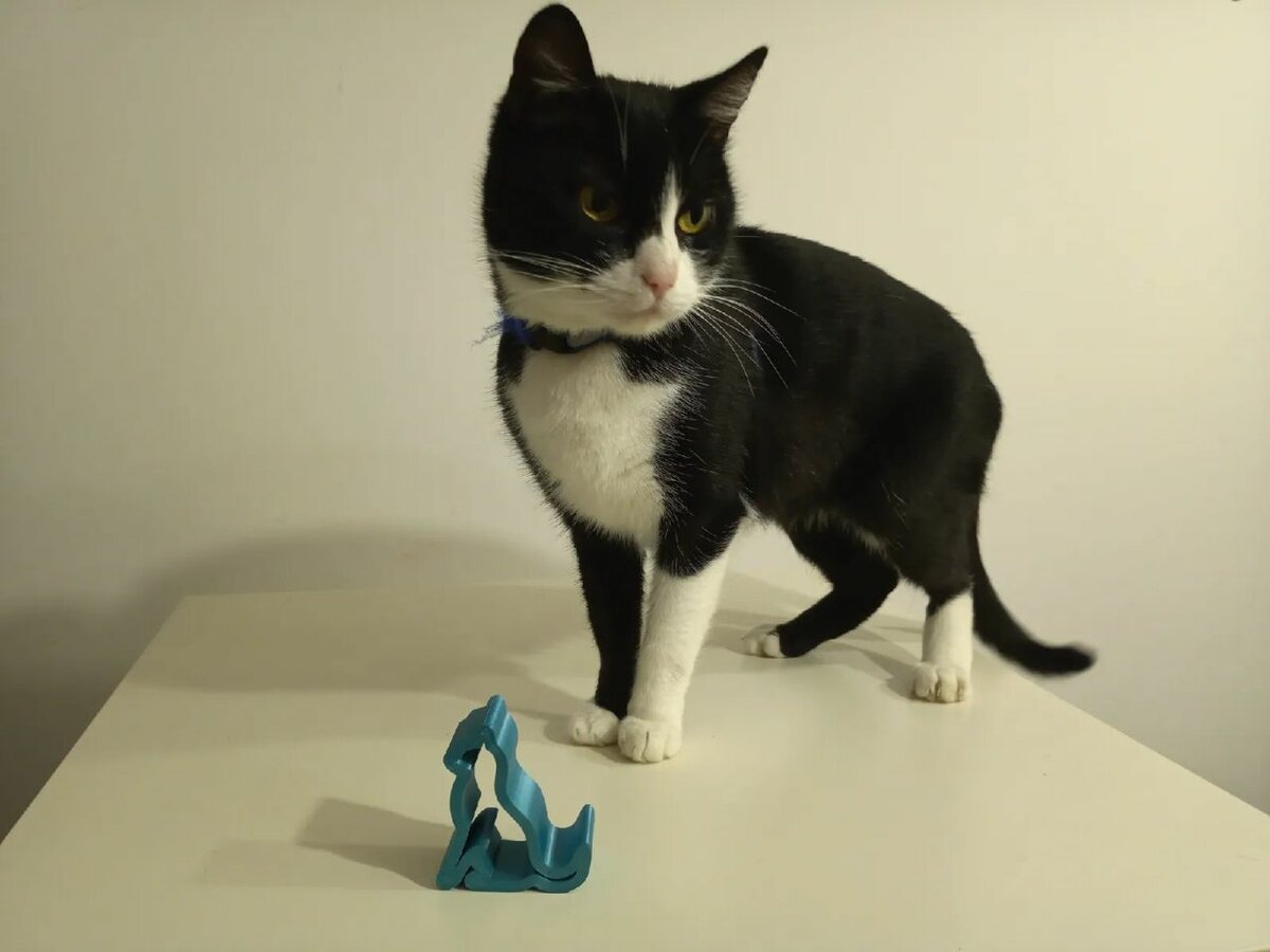 Kitty cat phone holder