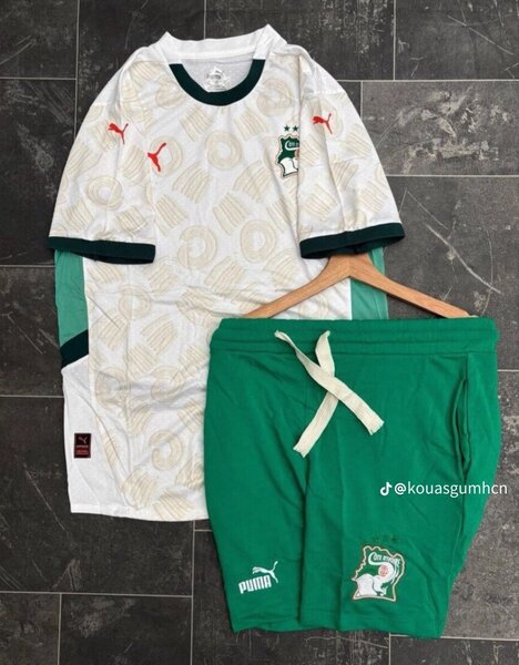 Ensemble de Football Côte d'Ivoire