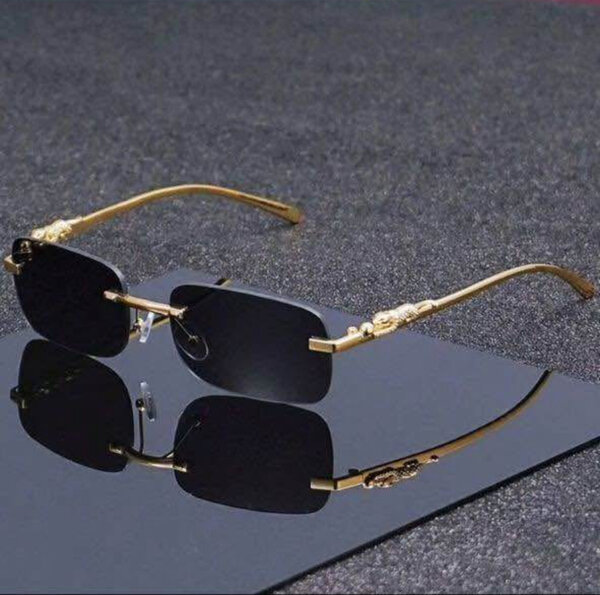 Lunettes de Soleil Rétro Élégantes