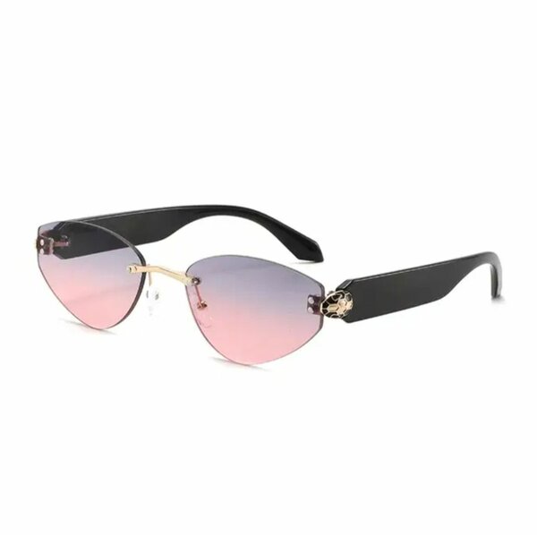 Lunettes de Soleil Élégantes