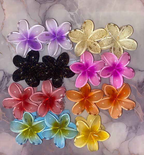 Pince à cheveux fleur colorée