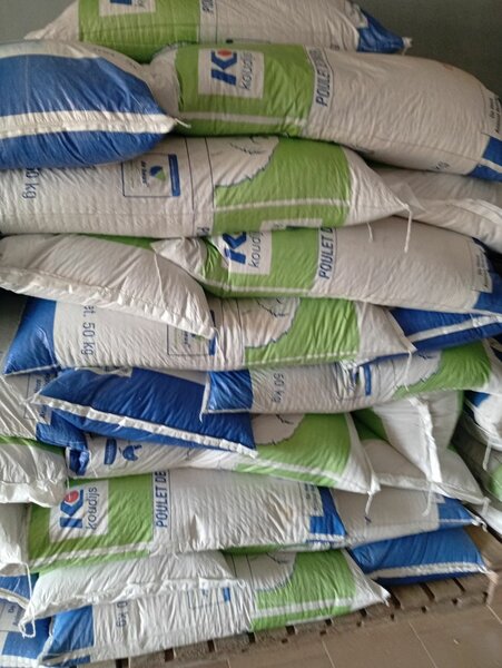 Croissance chaire Koudijs