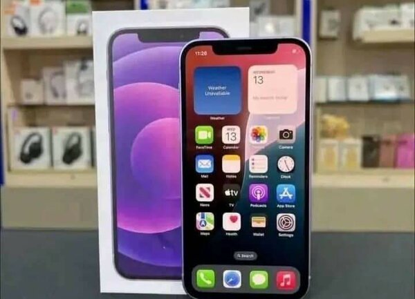 iPhone 12 Pro Max Violet