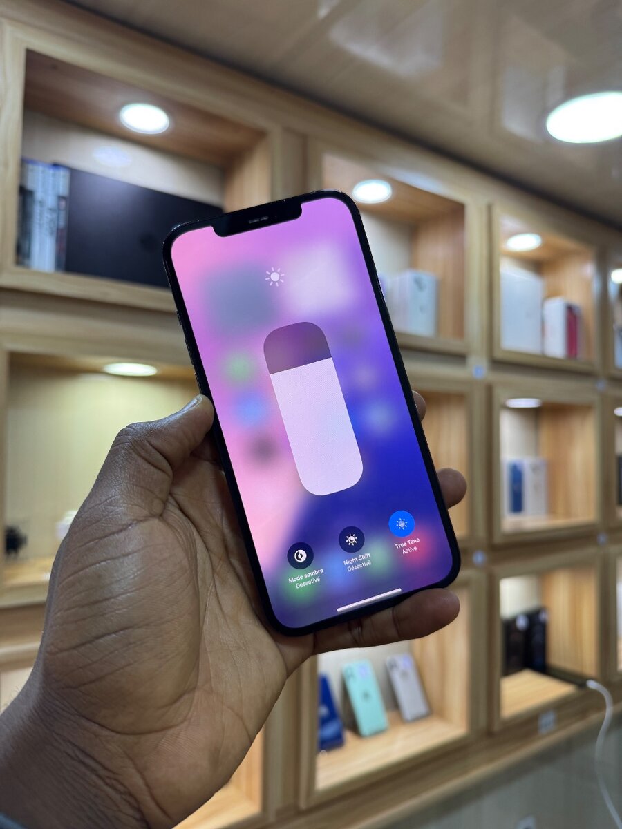 12 Pro Max Seconde Main Propre