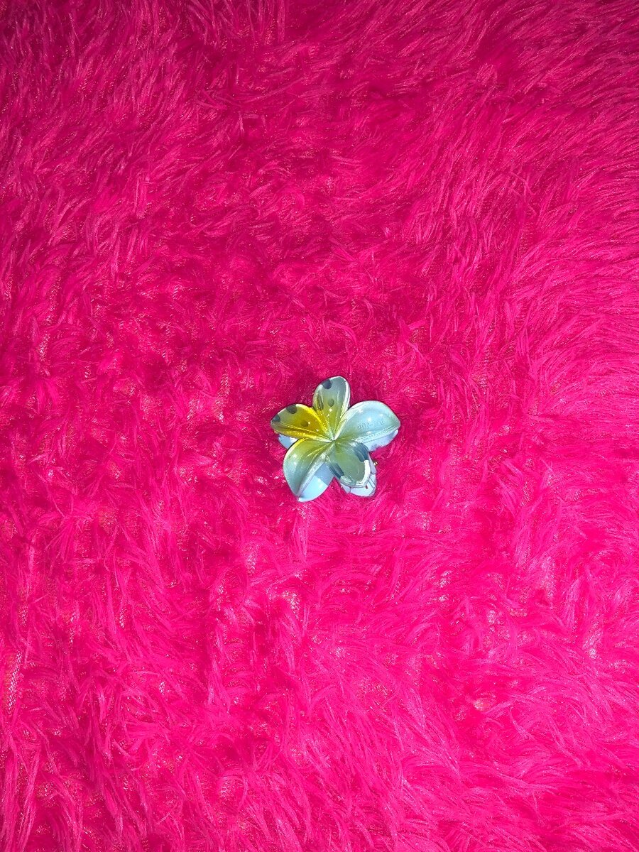 Épingles à cheveux fleurs colorées