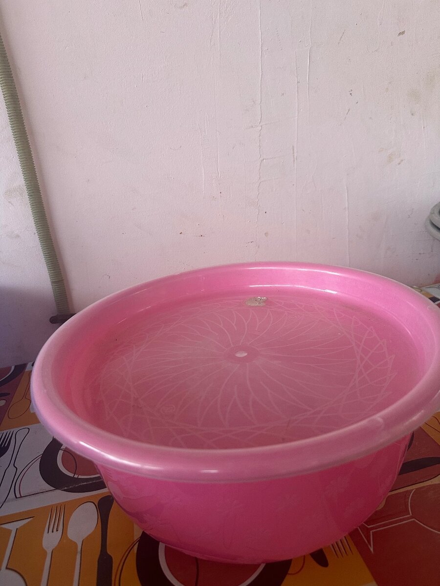 Bassine en plastique avec couvercle