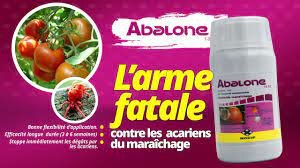Abalone Insecticide Anti-acariens