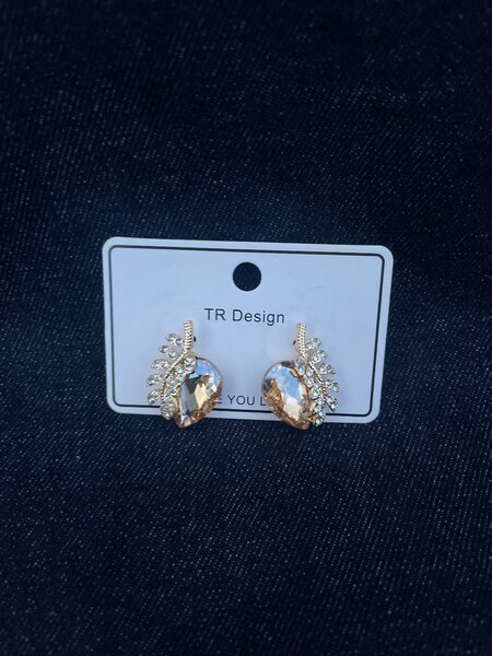 Ladies earrings