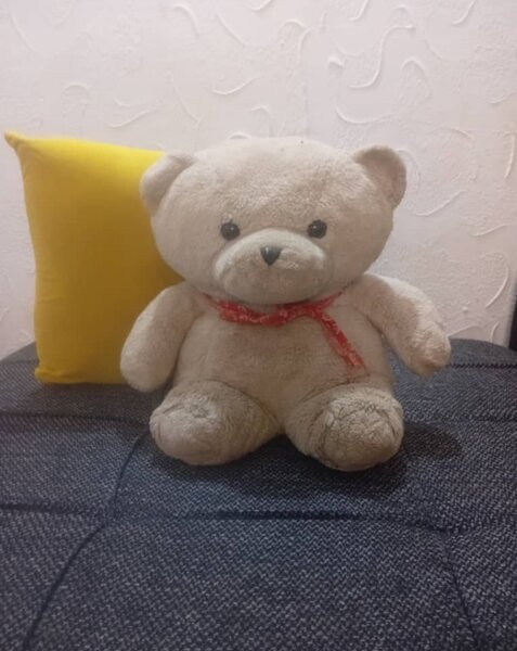 Ours en peluche doux