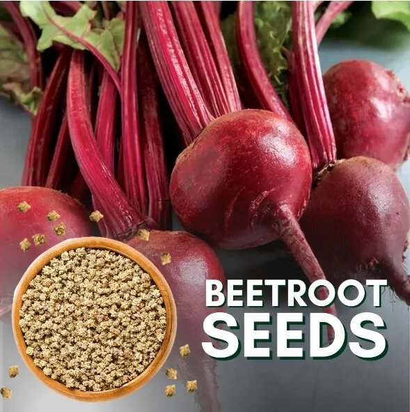 ORGANIC BEETROOT SEEDS