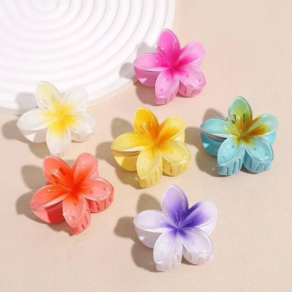 Pinces à cheveux fleurs colorées