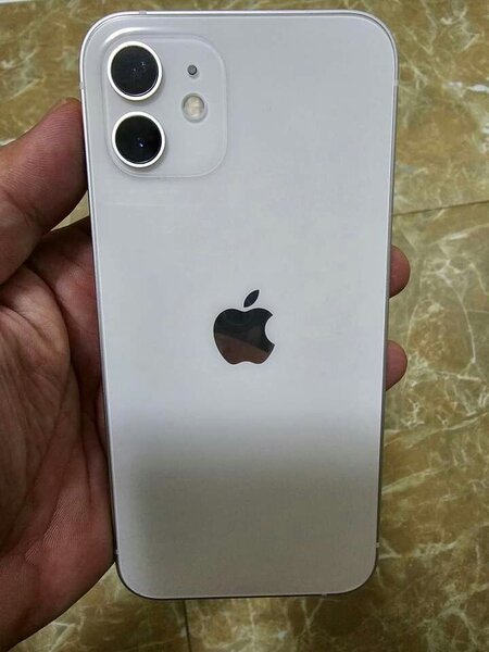 iPhone 12 Blanc 64Go