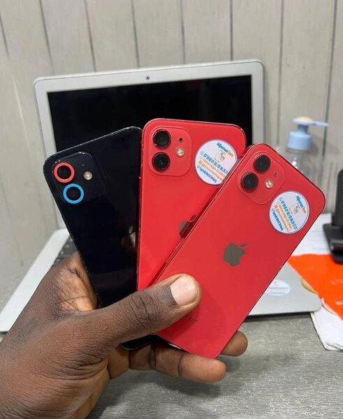 iPhone 12 Mini - Compact et Élegant