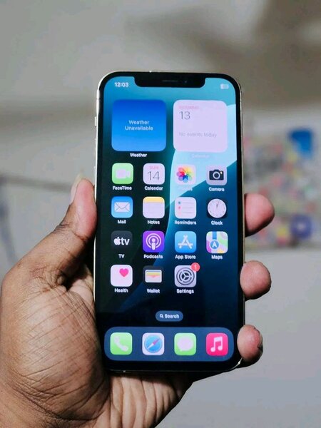 iPhone 12 Pro Max 256Go Or