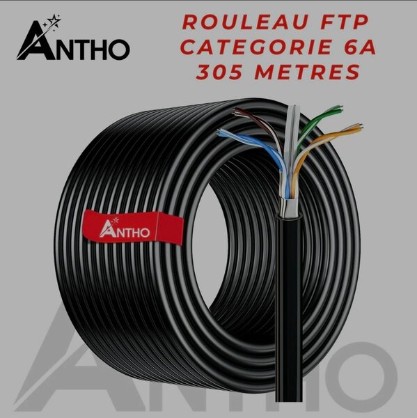 Câble FTP Cat 6A 305m
